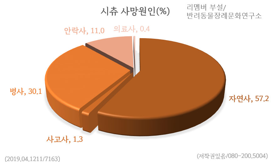 시츄 사망원인(%).png